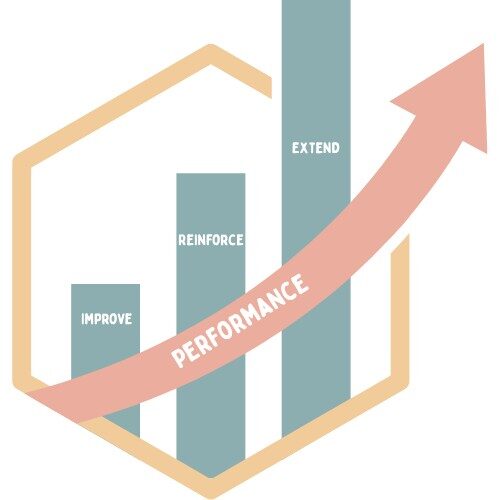 Graph with text - improve, reinforce, extend performance business coaching