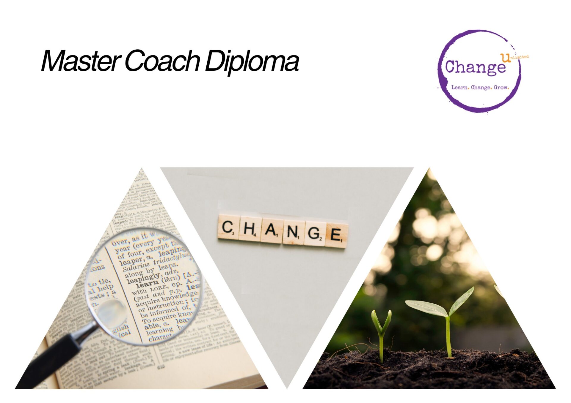 Master Coach Diploma 2028/29